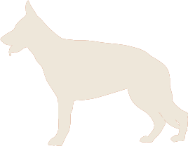 Canil Lajeado de Pedras - Logo Cachorro